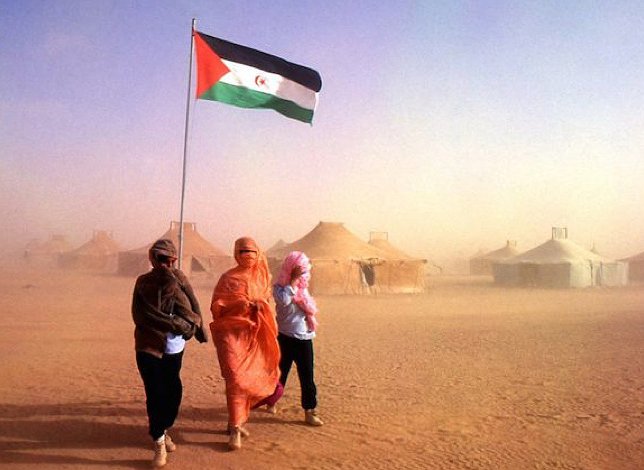 UP sobre el Sáhara: detener la guerra y cumplir las resoluciones de la ONU para alcanzar una solución justa